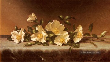  Johnson Malerei - Cherokee Rosen auf einem hellgrauen Tuch romantischen Blume Martin Johnson Heade